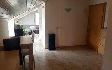 Wohnung 2.5 Zimmer - image - 5
