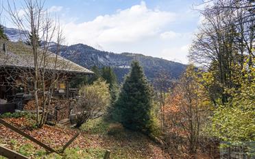Chalet 6 rooms - image - 2