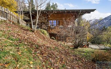 Chalet 6 rooms - image - 10