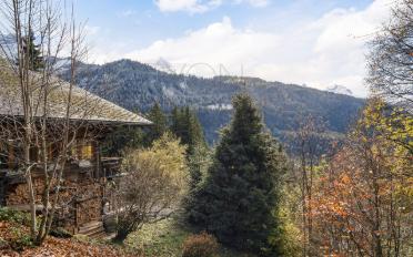 Chalet 6 Zimmer - image - 3