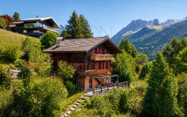 Chalet 8 Zimmer - image - 2