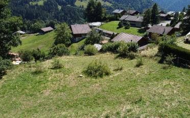Bauland - image - 3