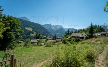 Bauland - image - 8