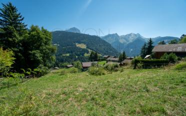 Bauland - image - 6