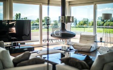 Apartment 12 rooms - image - 1