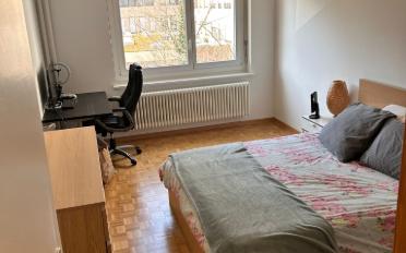 Wohnung 3.5 Zimmer - image - 6