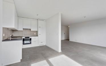 Apartment 3.5 rooms - image - 3