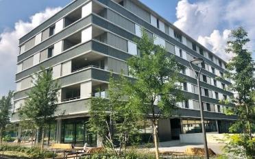 Wohnung 2.5 Zimmer - image - 1