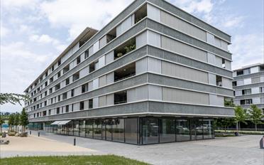 Shop - image - 1