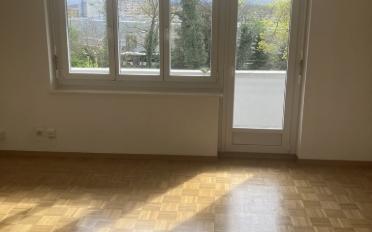 Apartment 2 rooms - image - 3