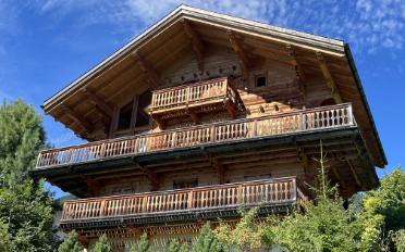 Chalet 7 Zimmer - image - 1