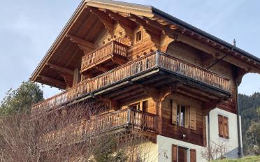Chalet 7 Zimmer - image - 2