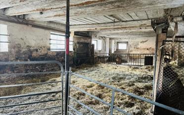 Farm house - image - 11