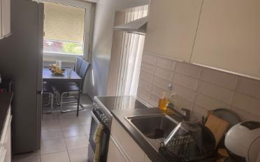 Wohnung 3 Zimmer - image - 5