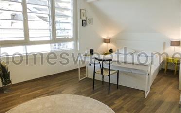 Furnished flat 1.5 rooms - image - 1