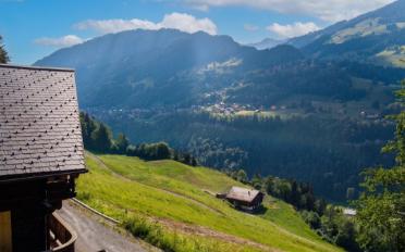 Chalet 5 Zimmer - image - 13