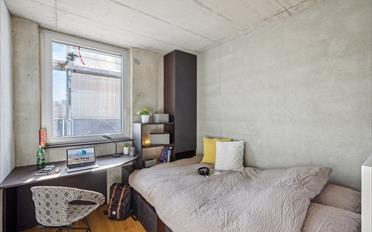 Single room 1 room - image - 2
