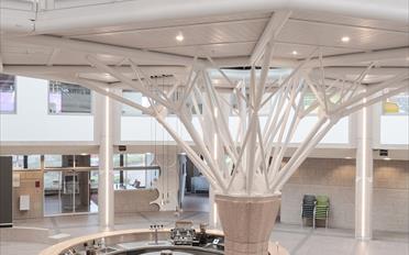 Studio 1 pièce - image - 13