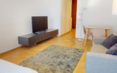 Appartement meublé 1 pièce - image - 4