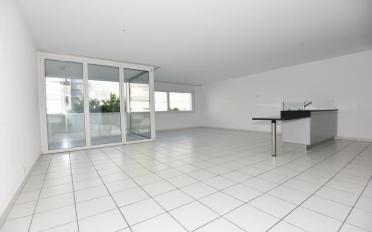 Wohnung 2.5 Zimmer - image - 1
