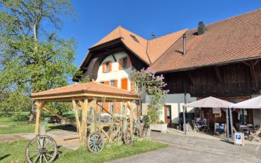 Duplex 4.5 Zimmer - image - 1