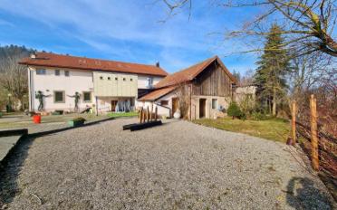 Restaurant - image - 2