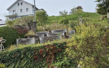 Appartement 3 pièces - image - 12