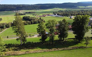 Villa 5.5 pièces - image - 13