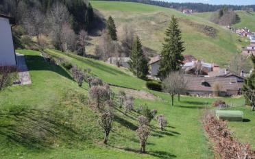 Villa 5.5 pièces - image - 11