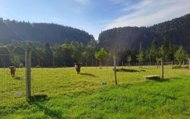 Appartement 1.5 pièces - image - 11