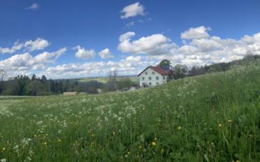 Wohnung 2.5 Zimmer - image - 6