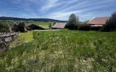 Bauland - image - 2