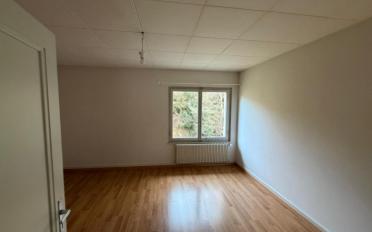 Immeuble mixte - image - 4