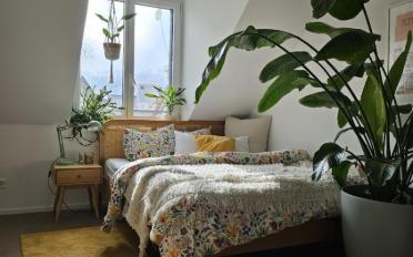 Wohnung 3 Zimmer - image - 1