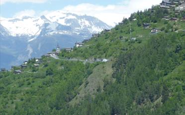 Chalet 5 Zimmer - image - 8