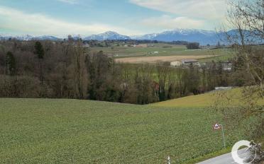 Wohnung 4.5 Zimmer - image - 13