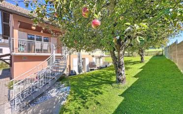 Wohnung 3.5 Zimmer - image - 1