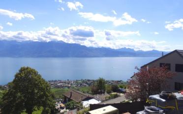 Appartement 4.5 pièces - image - 3