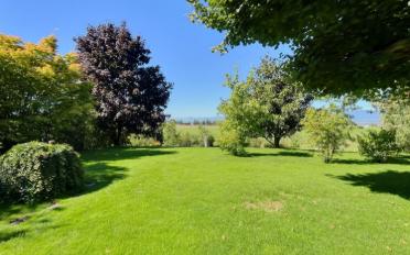 Wohnung 2.5 Zimmer - image - 1