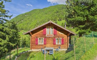 Chalet 3 Zimmer - image - 2