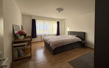 Apartment 3.5 rooms - image - 5