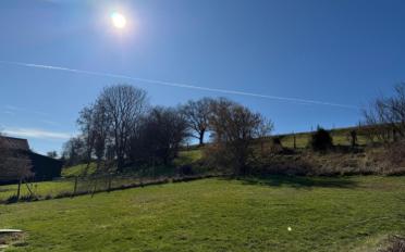 Reihenfamilienhaus 4.5 Zimmer - image - 13