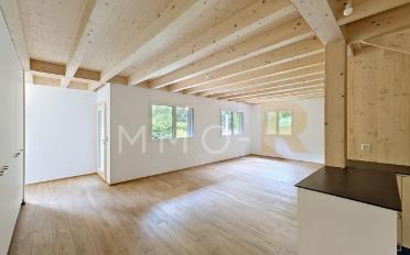 Chalet 5.5 pièces - image - 2