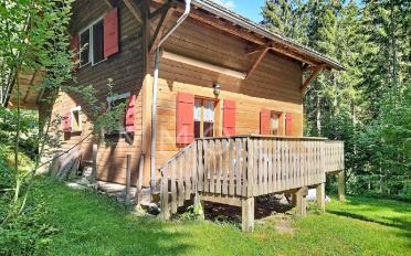 Chalet 4.5 Zimmer - image - 1