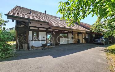 Doppeleinfamilienhaus 5.5 Zimmer - image - 2