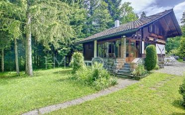 Chalet 4.5 pièces - image - 2