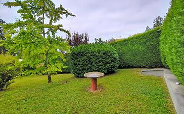 Einfamilienhaus 5.5 Zimmer - image - 9