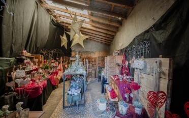 Maison 10 pièces - image - 11