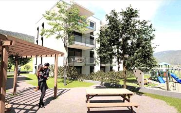 Apartment - image - 1