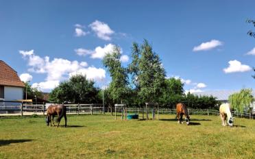 Ferme 4.5 pièces - image - 7